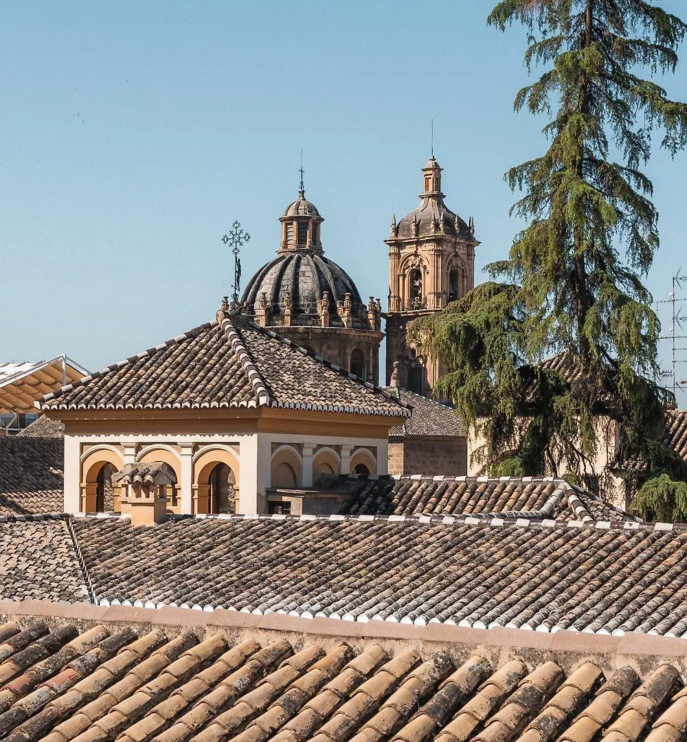 Mano De Hierro Apartment - Free Parking Granada